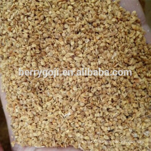 Goji berry seed/NQ-1/NQ-7 goji seeds/For plant